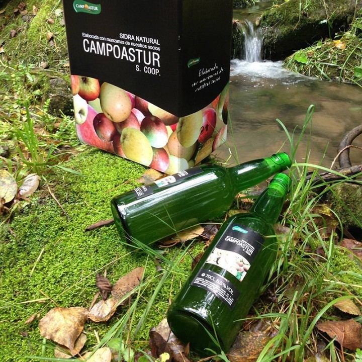 Sidra Natural asturiana, CAMPOASTUR